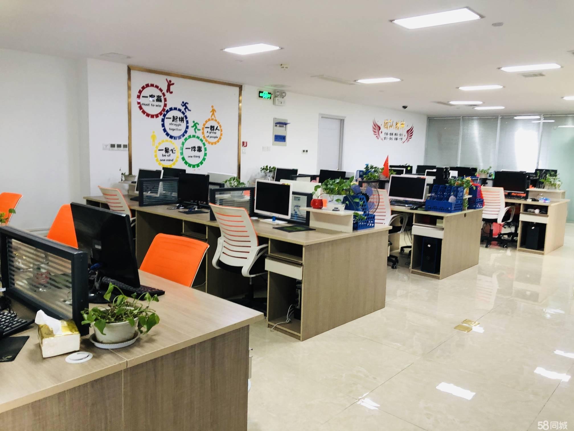 天鹅万达超高层精装带家具