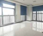 金中环精装随时看房