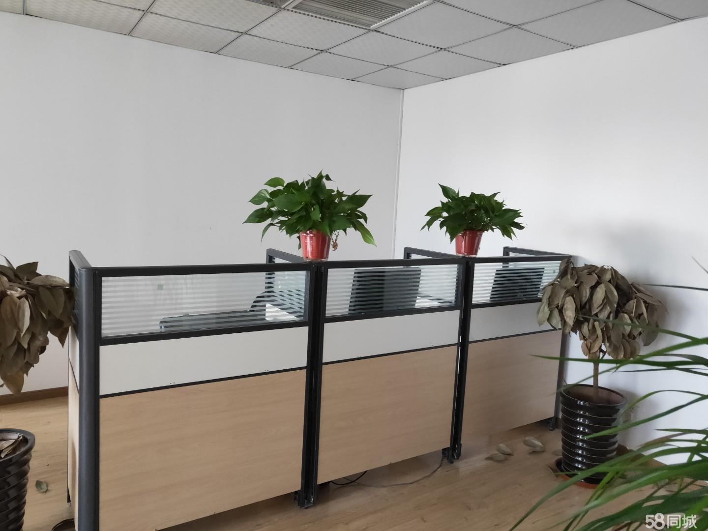 蜀山港汇精装带全套家具