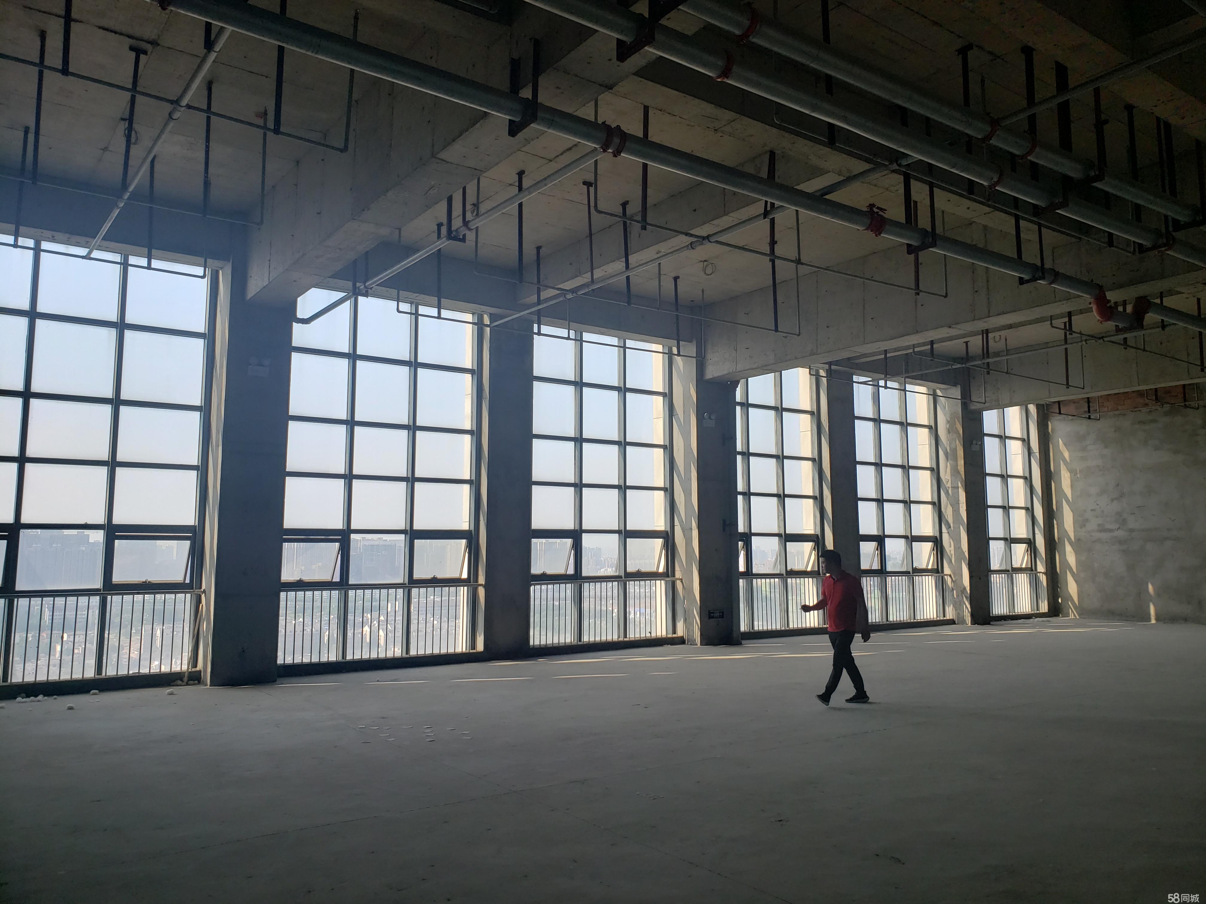 新中泰国际整层招租可分割