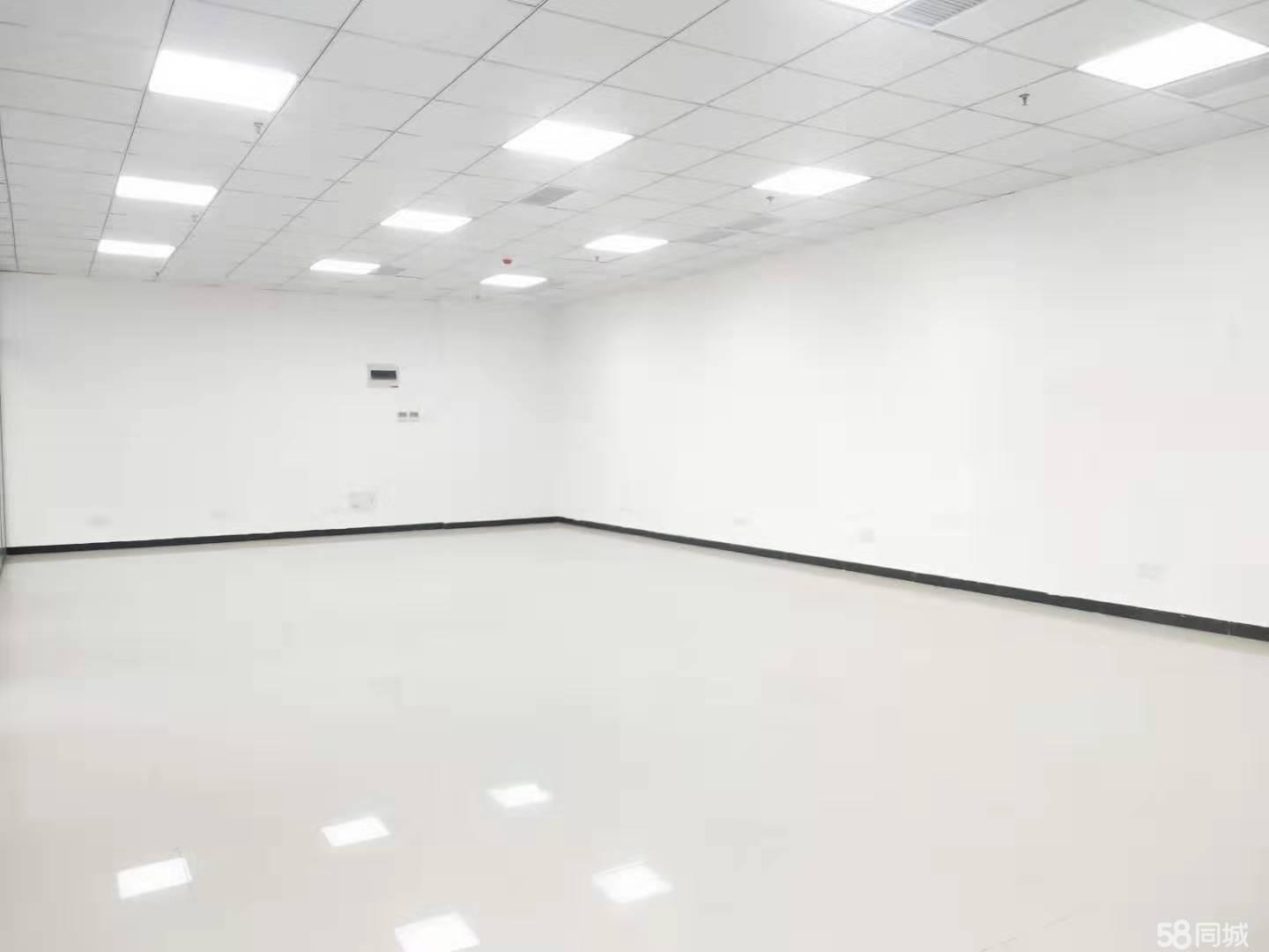 瑶海区精装租金低