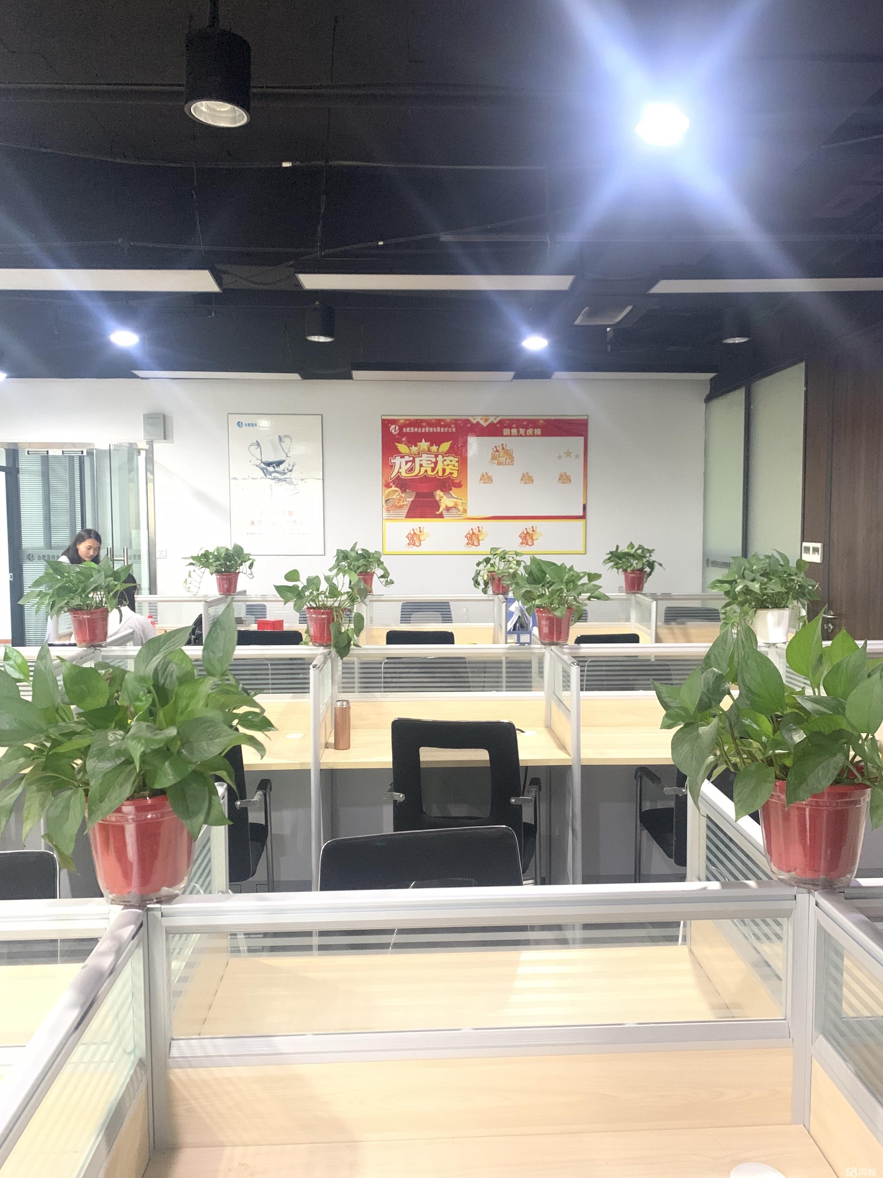 政务区精装稀有户型