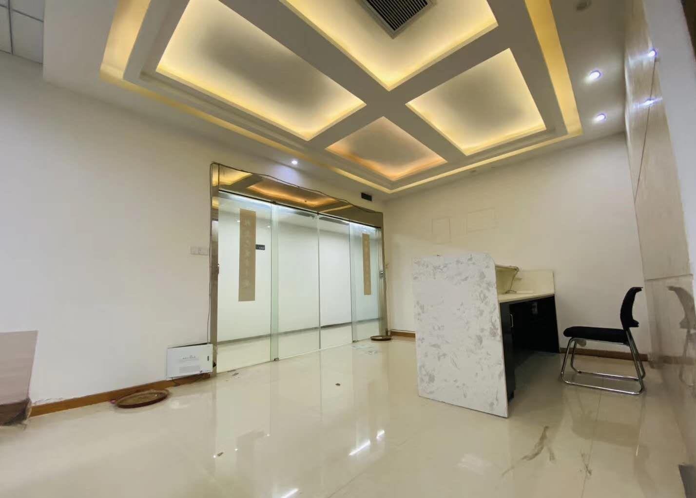 政务区豪装拎包办公