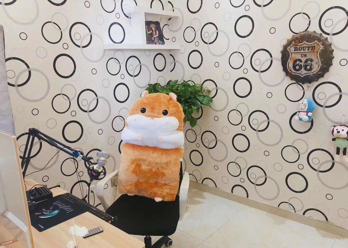 蜀山区精装带家具交通便利