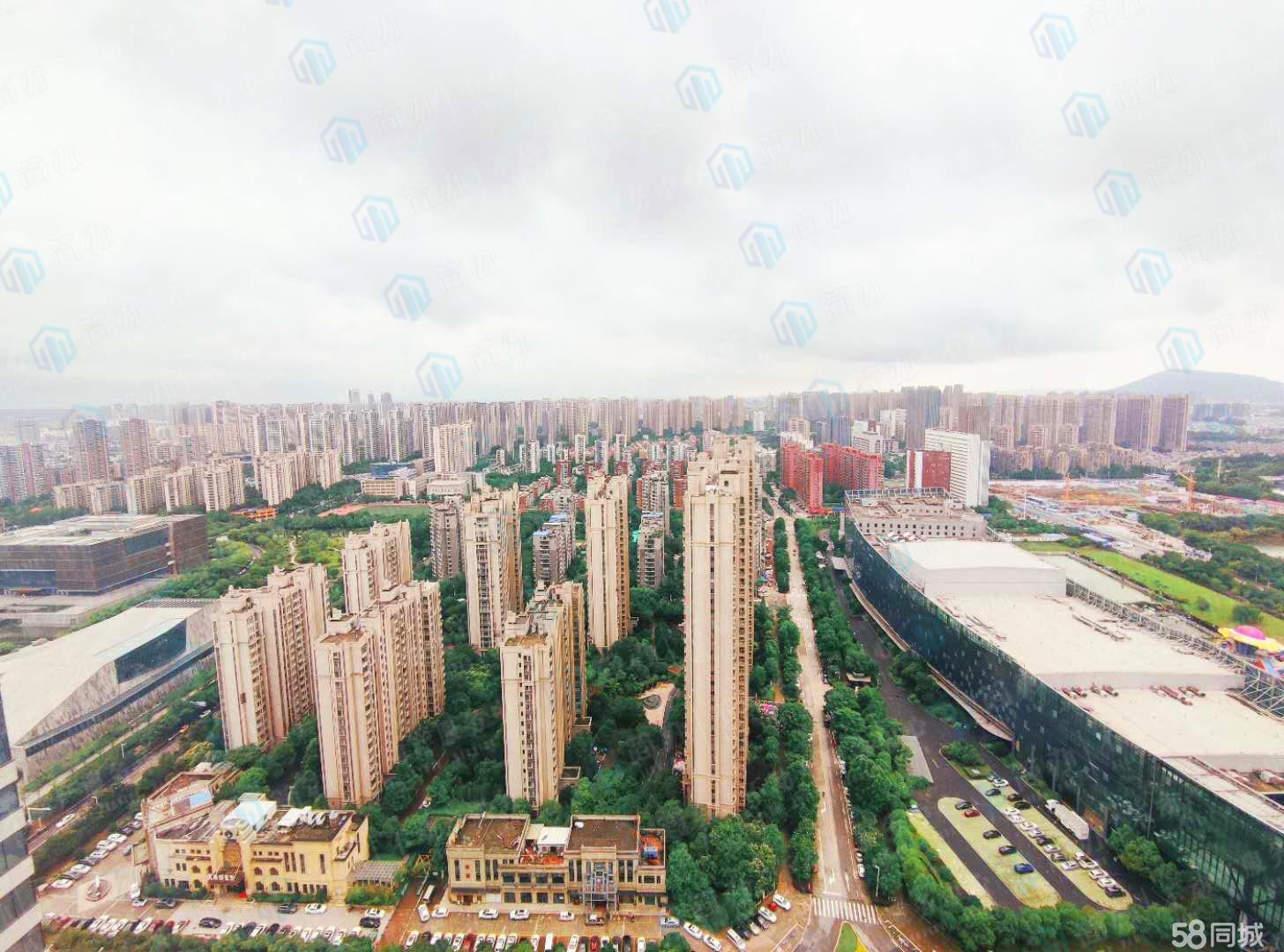 政务区精装带家具观湖电梯口