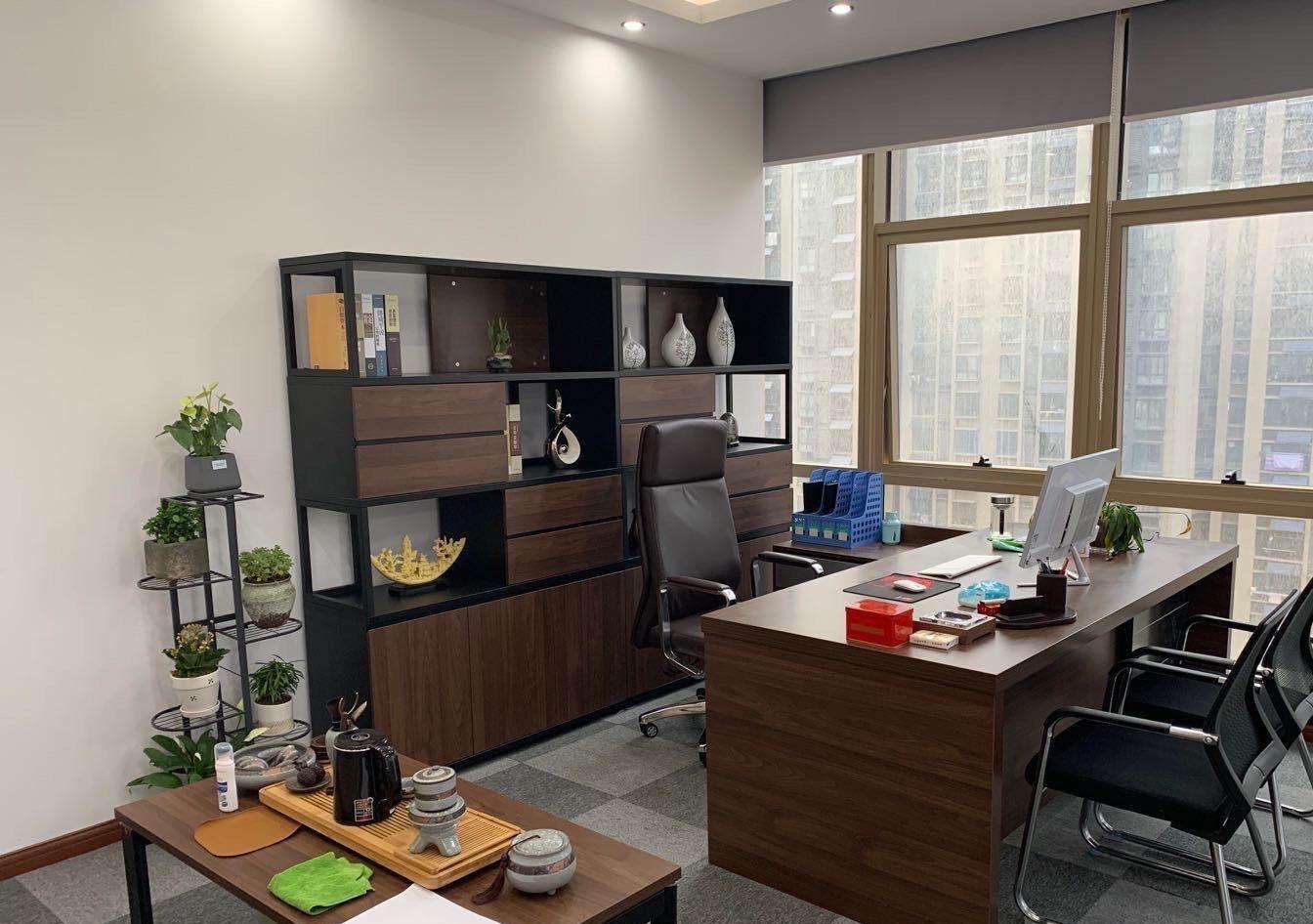 滨湖新区精装全套家具地铁口旁