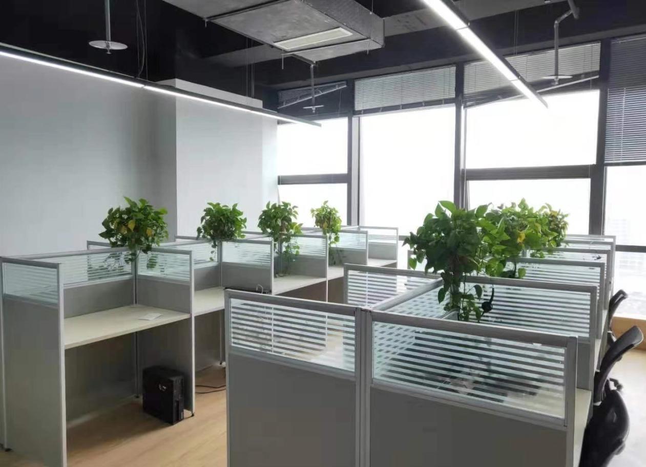 滨湖新区精装带家具地铁口