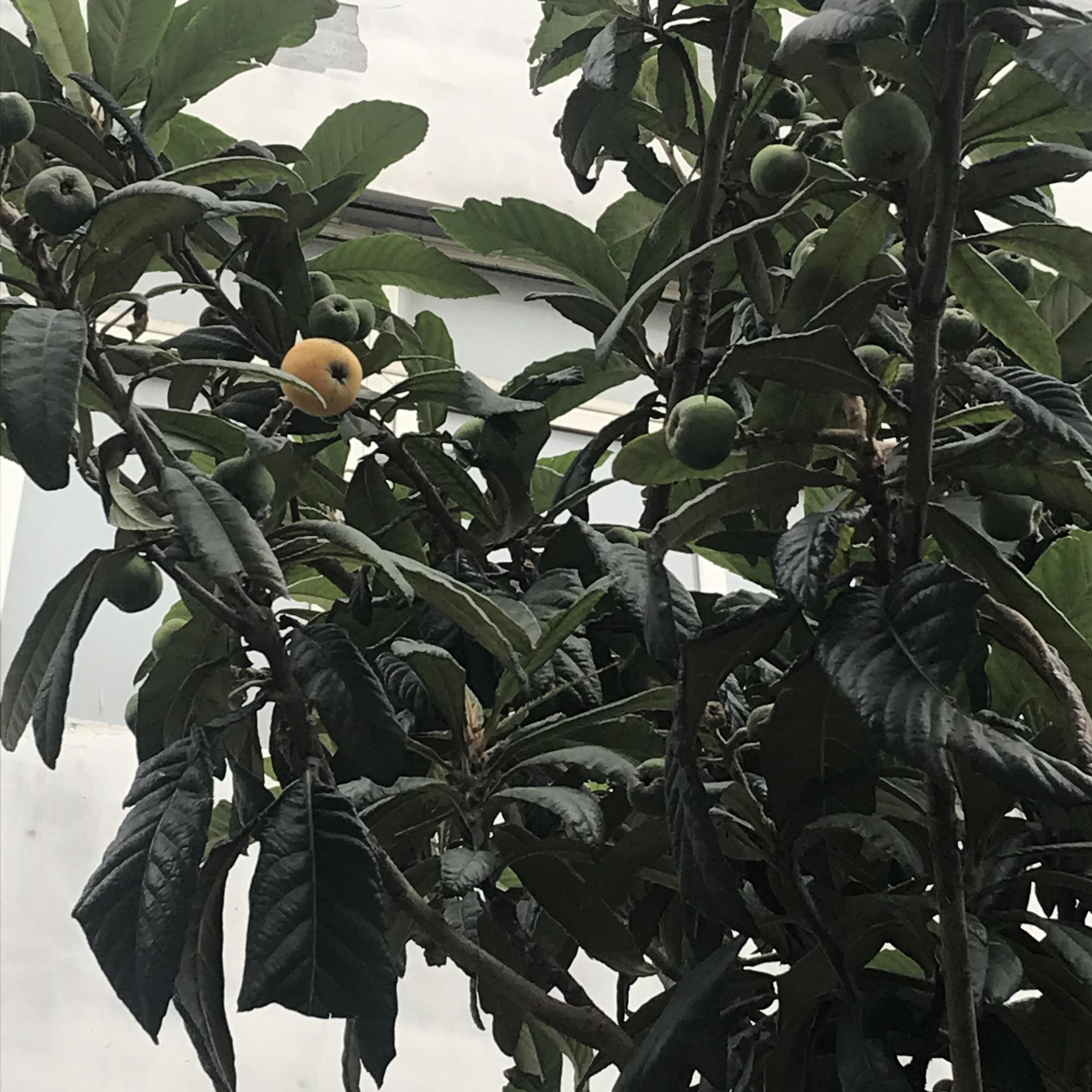 包河区小面积停车无忧