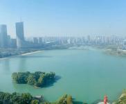 政务区精装宽敞明亮