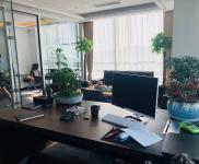 政务区精装可观天鹅湖