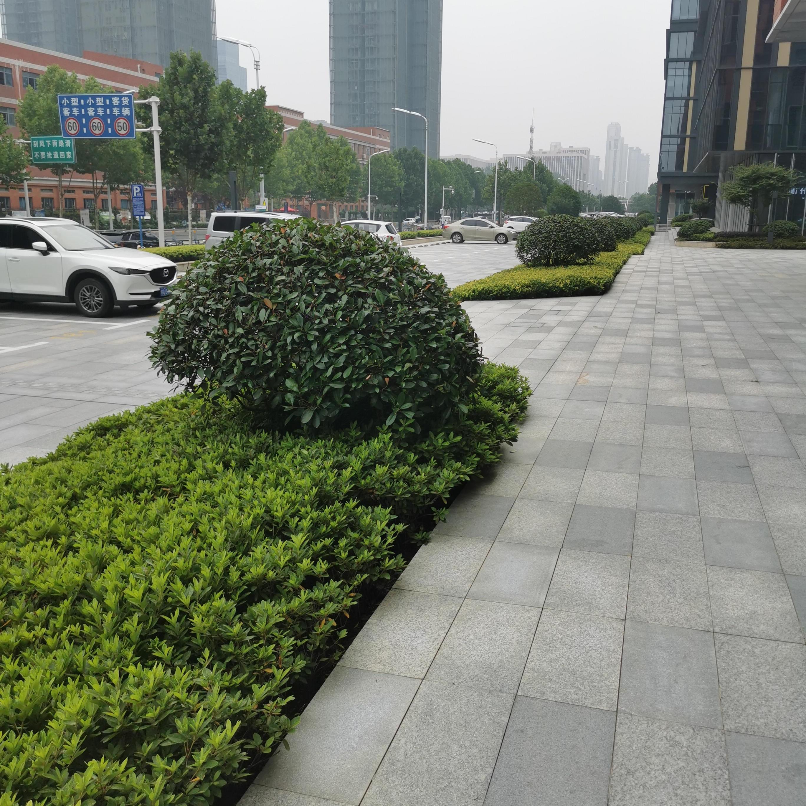 滨湖新区中高层视野面积大