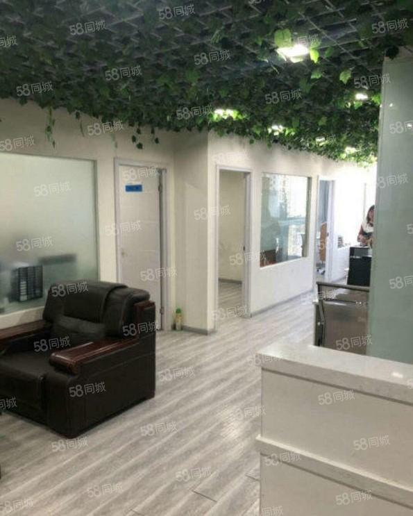 政务区精装中高区视野交通便捷