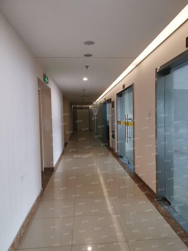 高新区精装随意组合随时可看