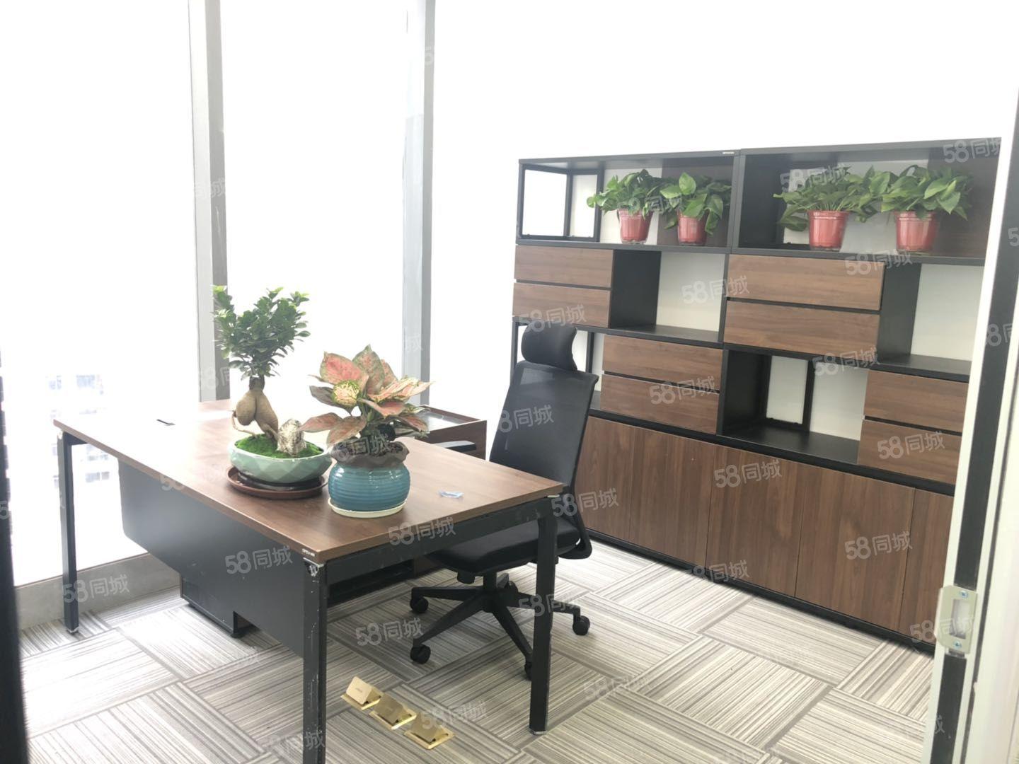 政务区精装超大业务区