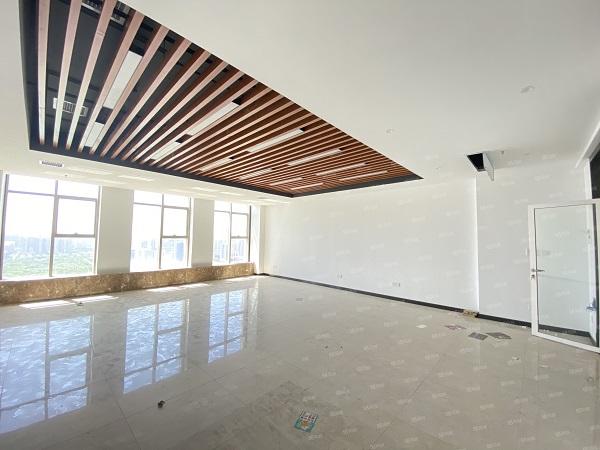 政务区精装带家具布局合理