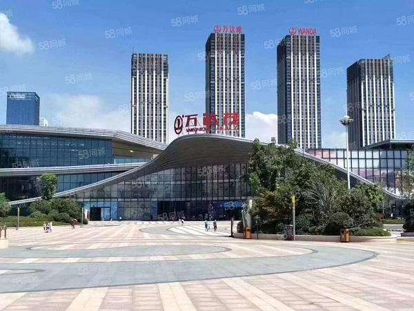 滨湖新区精装湖景办公实木家具