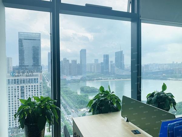 政务区豪装湖景办公