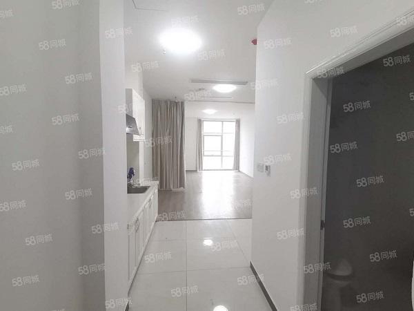 滨湖新区精装交通便利价格美丽