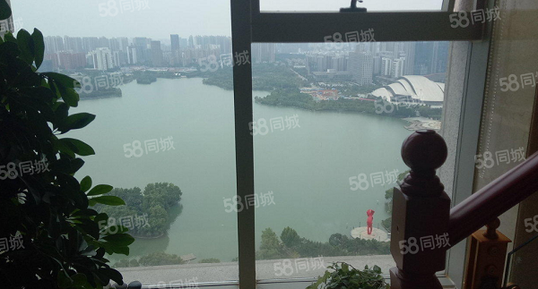 政务区豪装观湖景