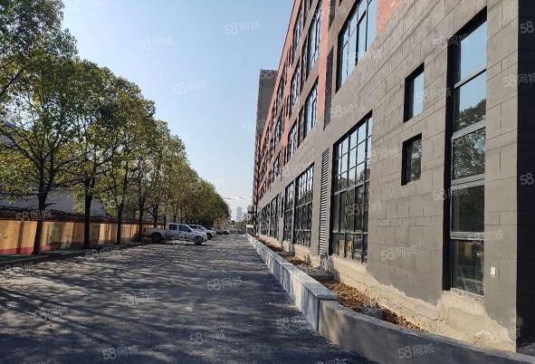 蜀山区精装独栋