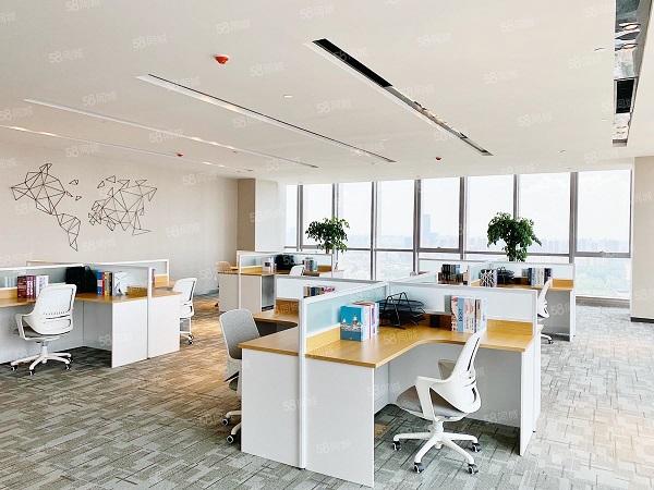 政务区精装全套新家具